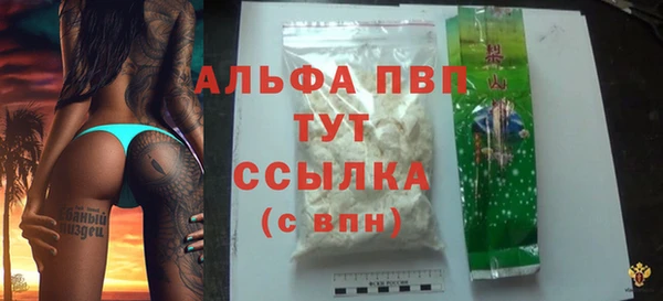 тгк Белокуриха