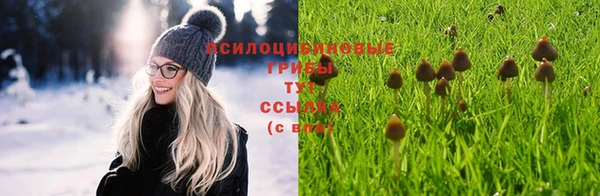 тгк Белокуриха