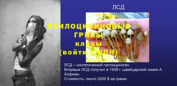 тгк Белокуриха